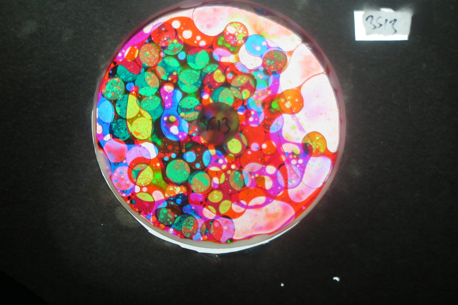 BV3513 bubble vision oil wheel